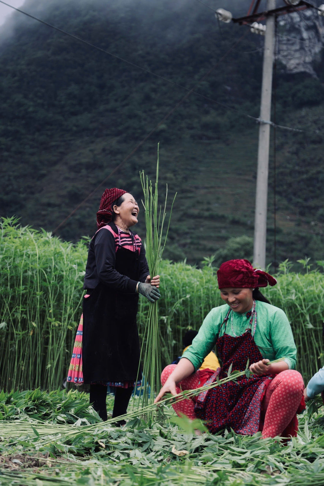 Indigo-dyed hemp fabric handwoven by Hmong artisans in Lung Tam village, Ha Giang, Vietnam