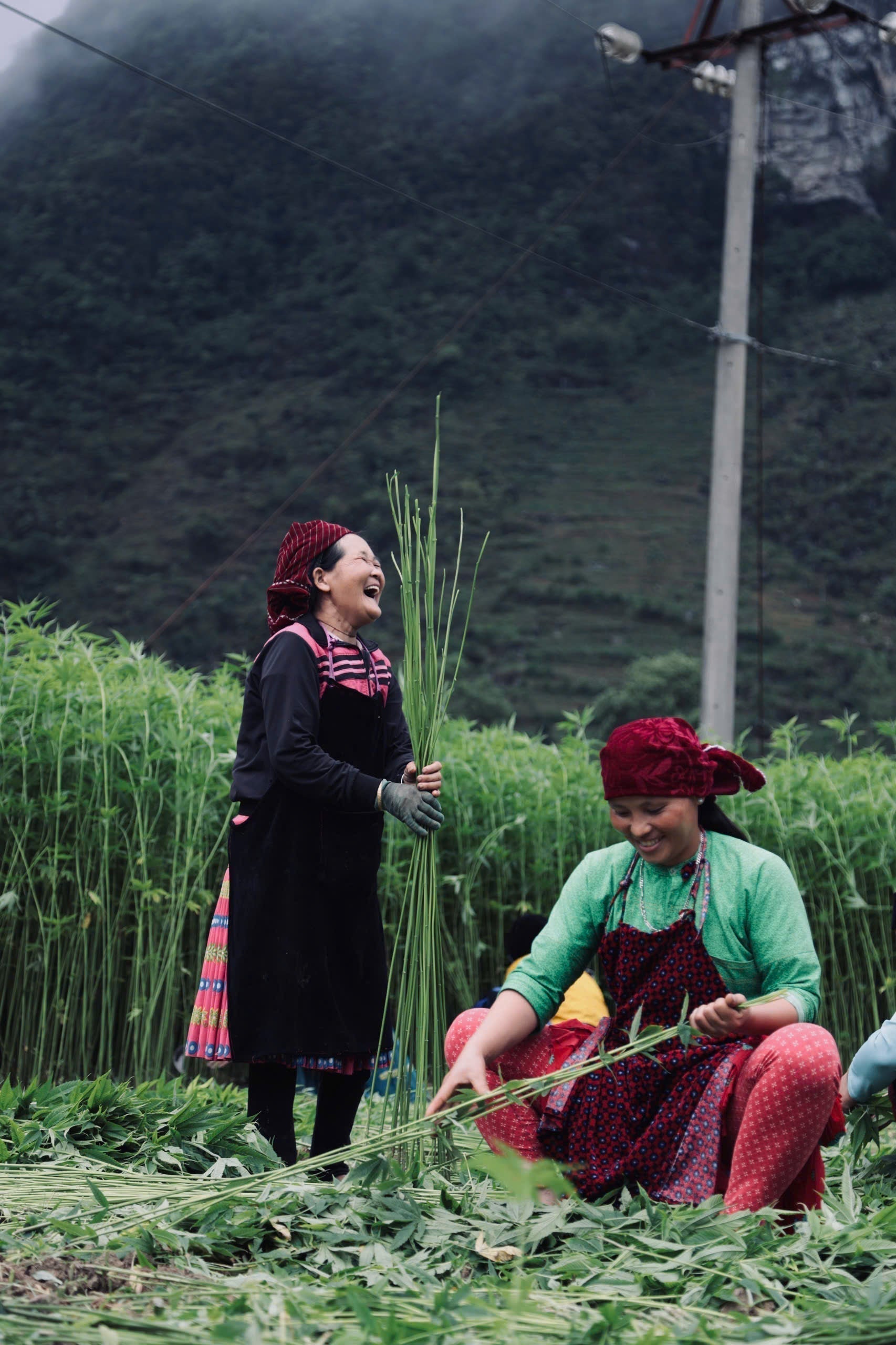 Indigo-dyed hemp fabric handwoven by Hmong artisans in Lung Tam village, Ha Giang, Vietnam