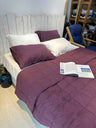 Aubergine Plum