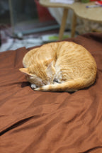 Golden Brown Linen Bedding Sets 4 pieces